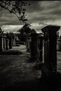 Gone