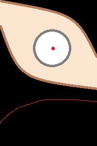 The Third Life