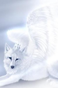 The wolf will [Dropped]