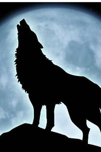 Last Howl