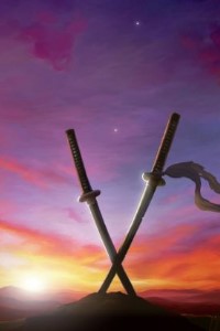 Swordverse Infinity