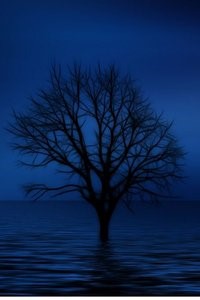 Seeker of Memory