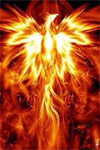 Phoenix Origami