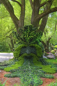 Beanstalk