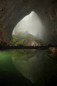 The Biomes