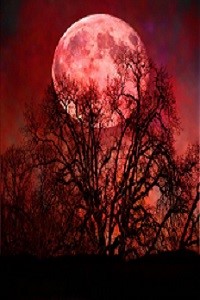 [COE] blood moon