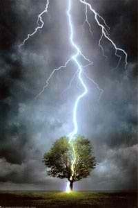 The Single Lightning Elemental Magus