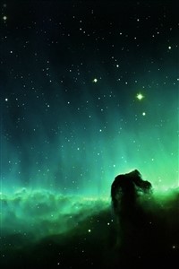 The Traveller