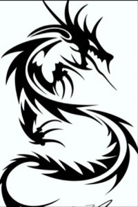 Dragon?