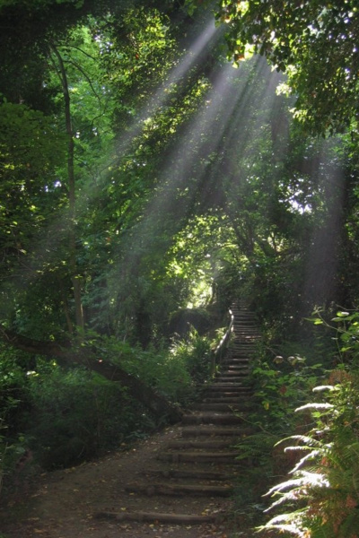 The Old Path