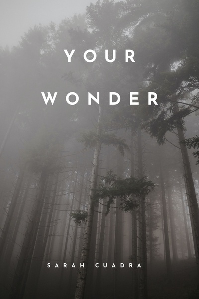Your Wonder