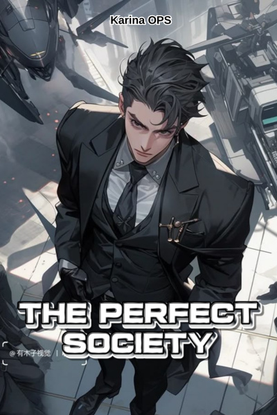 The perfect Society